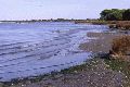 berges de l'étang, caamrgue