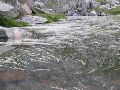 flore de l'étang de ventosa, encantats
