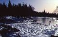 au bard du lac du mas de la barque, mont lozere