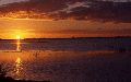 coucher de soleil en camargue