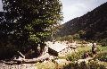 bergerie de vizzavona, corse
