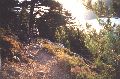 val de restonica, corse