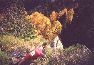 automne sur le canigou