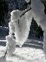 cristaux de neige, vercors