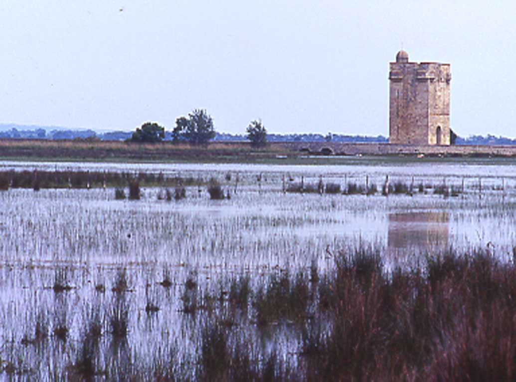 la tour carbonnière, camargue