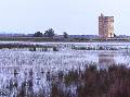 Randonnée à la tour Carbonnière, en Petite Camargue