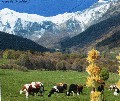 massif du Sancy, Auvergne