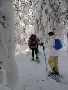 la forets des encantats