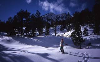 les hauts plateaux du vecors