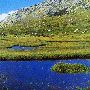pozzi corse, rénoso