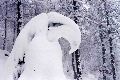 sculpturede neige, esperou