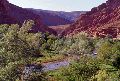 la vallée des Roses, maroc